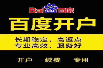 案例研究：信息流广告投放优化